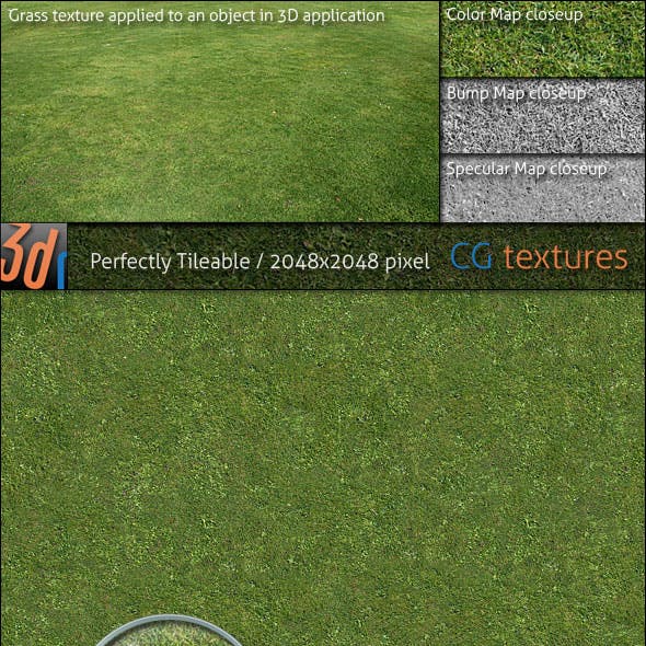 Grass Lawn Hi-Res Texture 01
