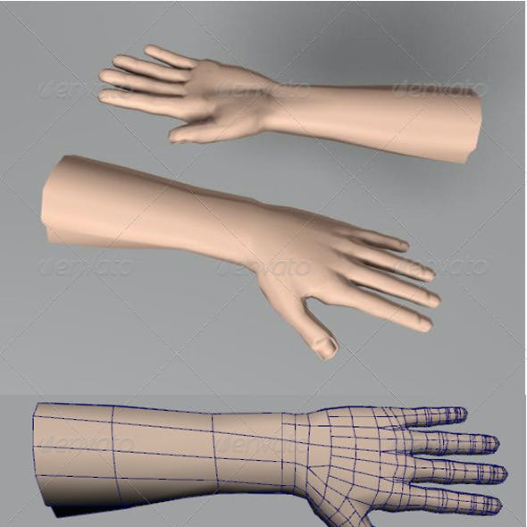 Human Hand