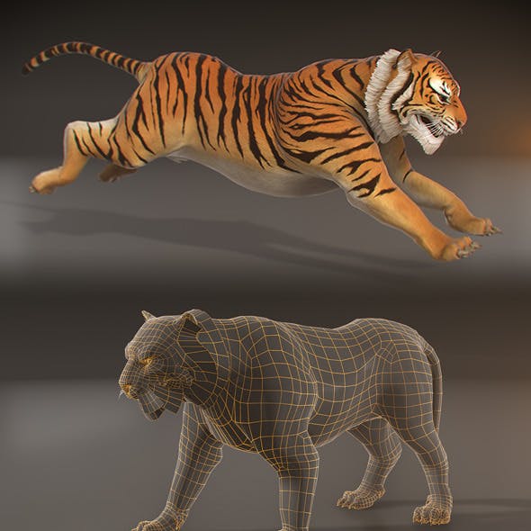 Animated Tiger - Low Poly