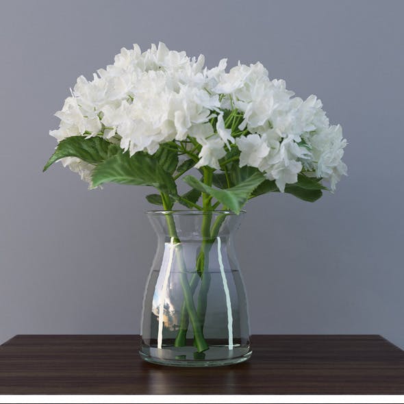 Hydrangea Flower In Vase 3D Model